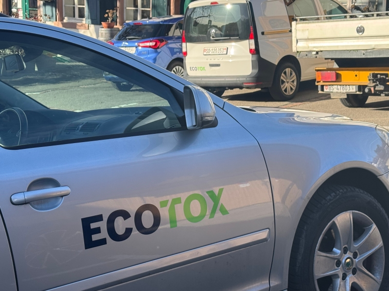 kammerjaeger binningen bettwanzenbekaempfung