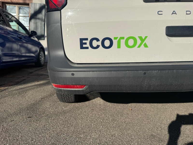 kammerjaeger ziefen ratten im keller