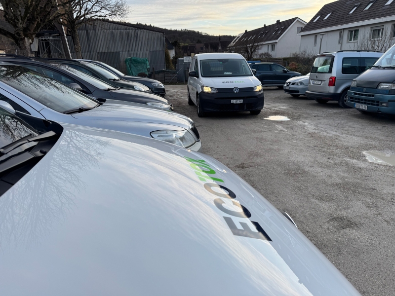 kammerjaeger buckten wespennest terrasse