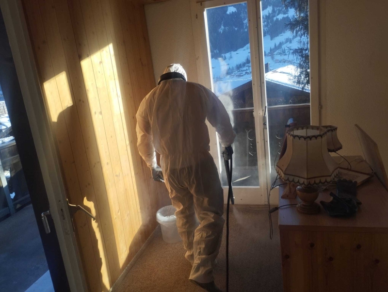 kammerjaeger aesch wespen im rolladenkasten